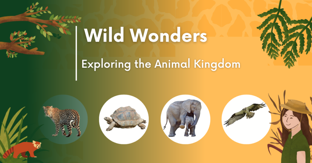 Wild Animal | Wild animals in a zoo | Most popular wild animals in the world | Balance of Ecology | Why is it important to conserve the biodiversity of earth?